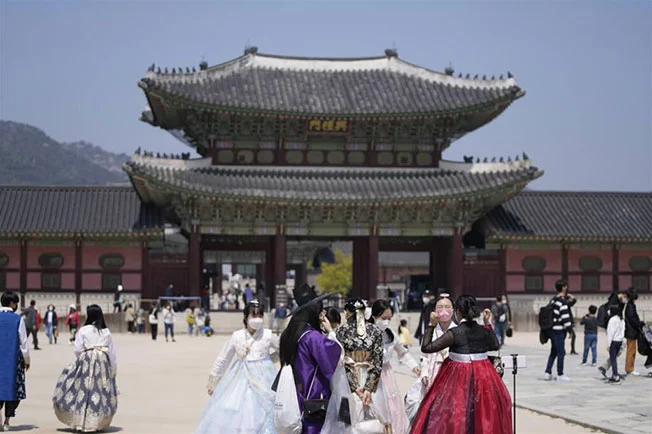 전문가 맞선